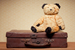teddybaer shutterstock 94205257